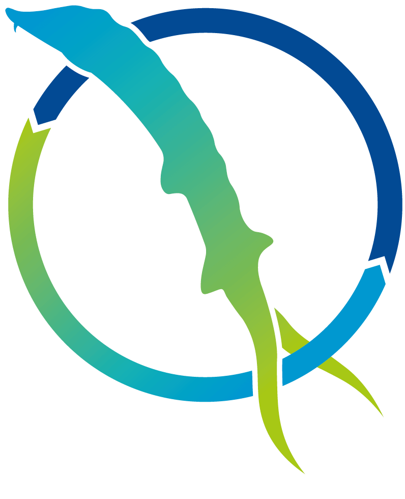 logo des jumeaux numériques